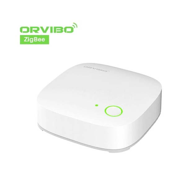 Orvibo VS20ZW